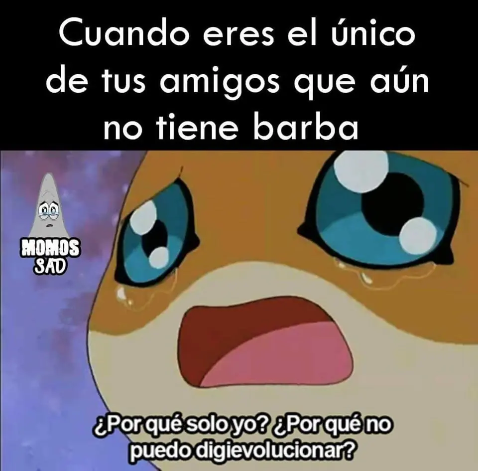 imagenes