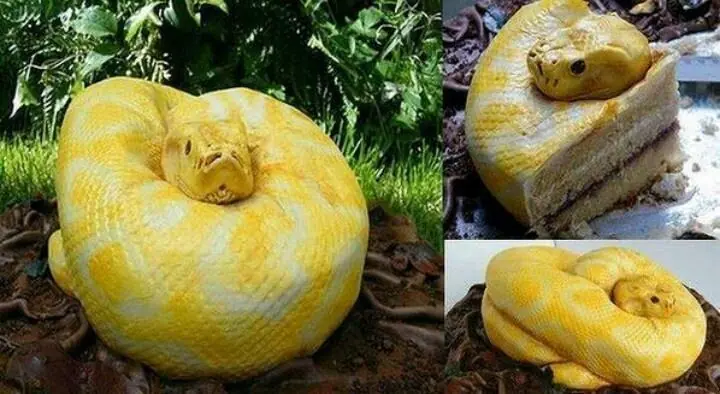 Diviertete con los pasteles más locos del mundo