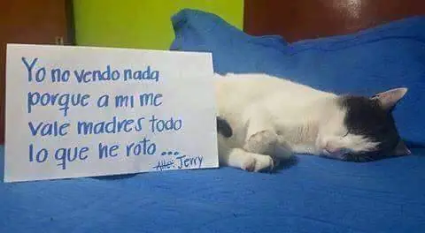 por sus