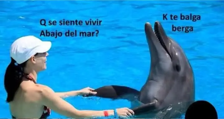 humor