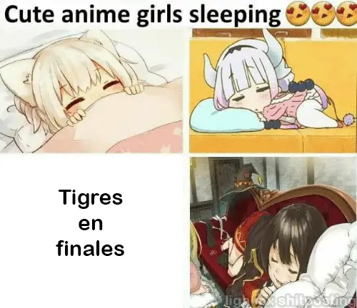 memes