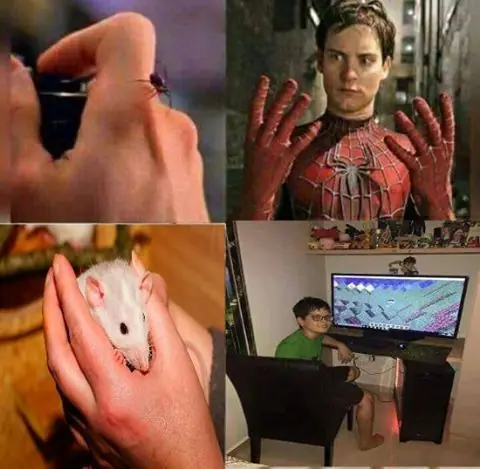 el sabado