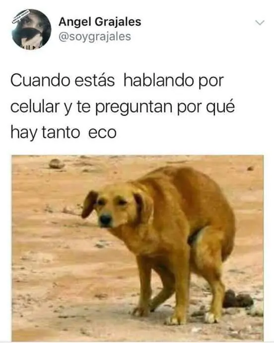 humor