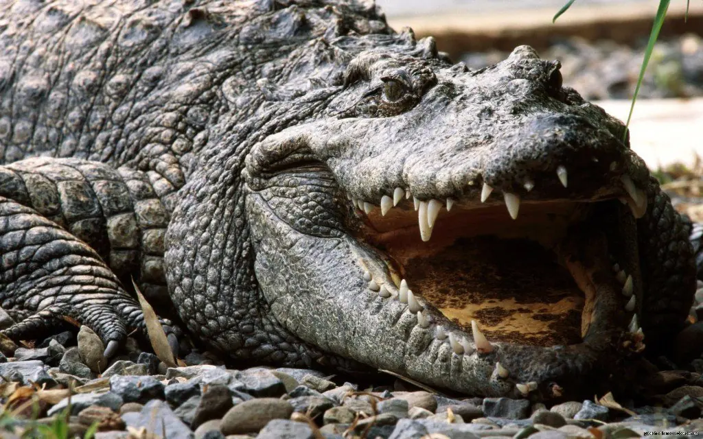 Increíbles paradojas que pocos pueden resolver