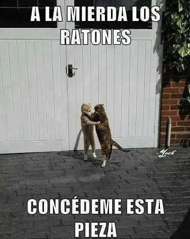 imagenes