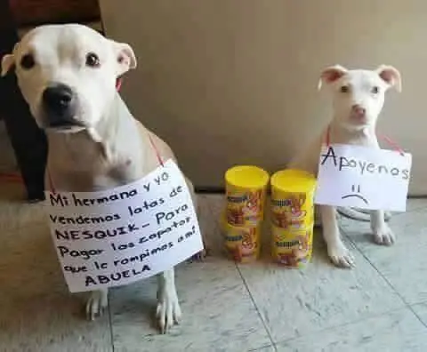 para pagar