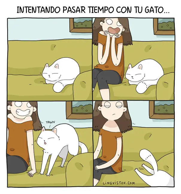 humor grafico de animales