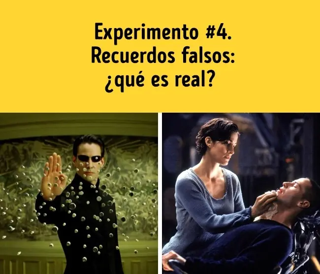6 experimentos