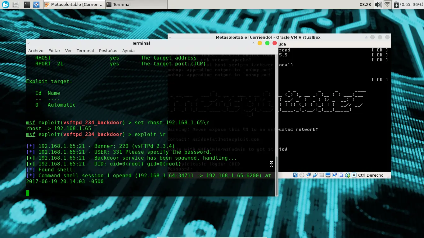 kali linux