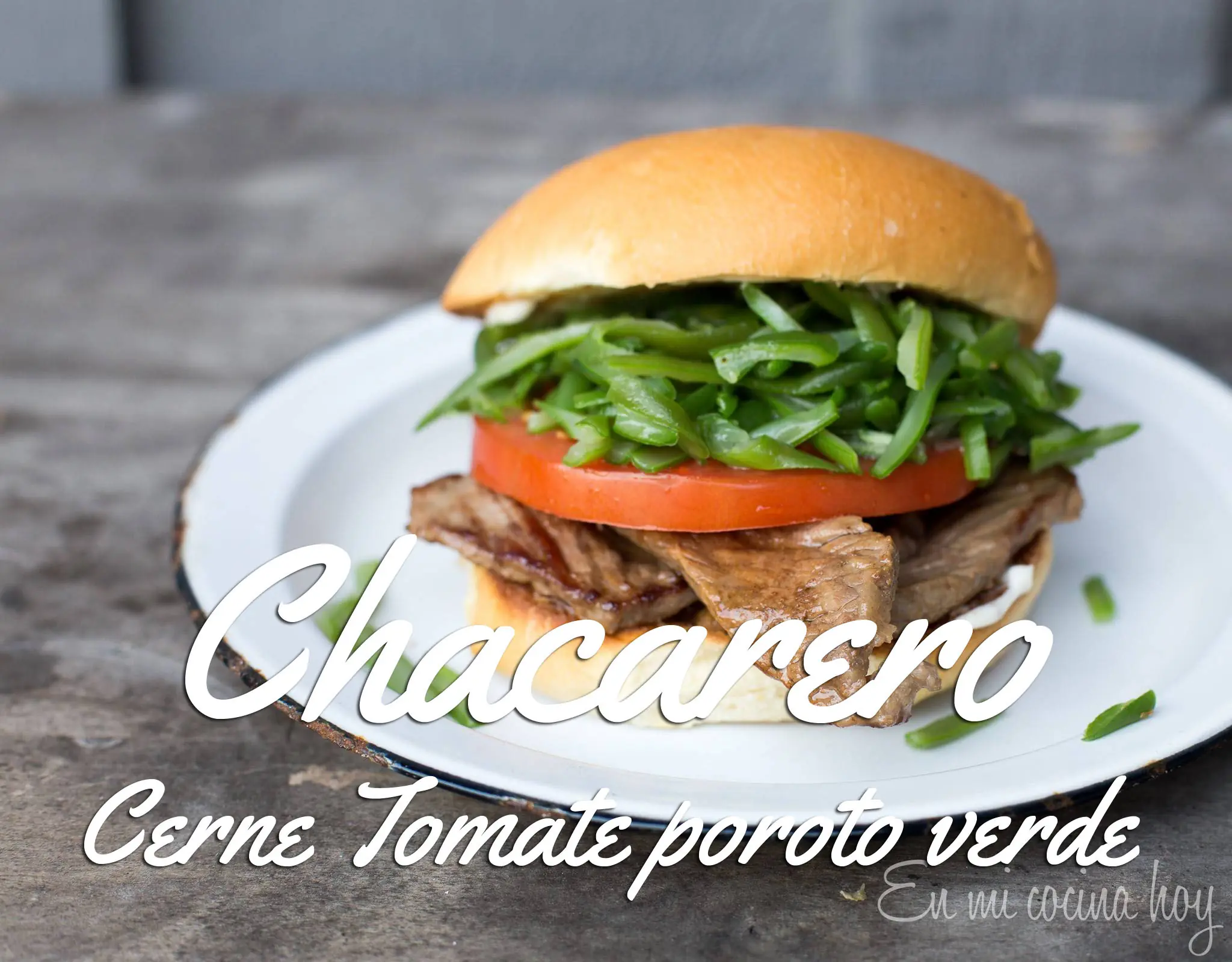 Comida Tipica Chilena