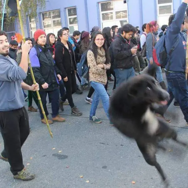 Entrá y cambiá esa cara de ogt! [Parte 3]