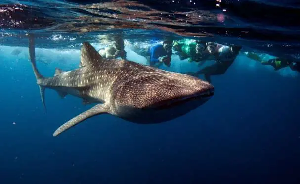 20 Aventuras que Debes Vivir antes de Morir