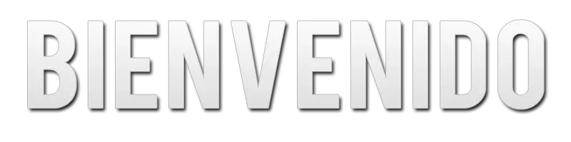 Cuantos idiomas oficiales se hablan en España