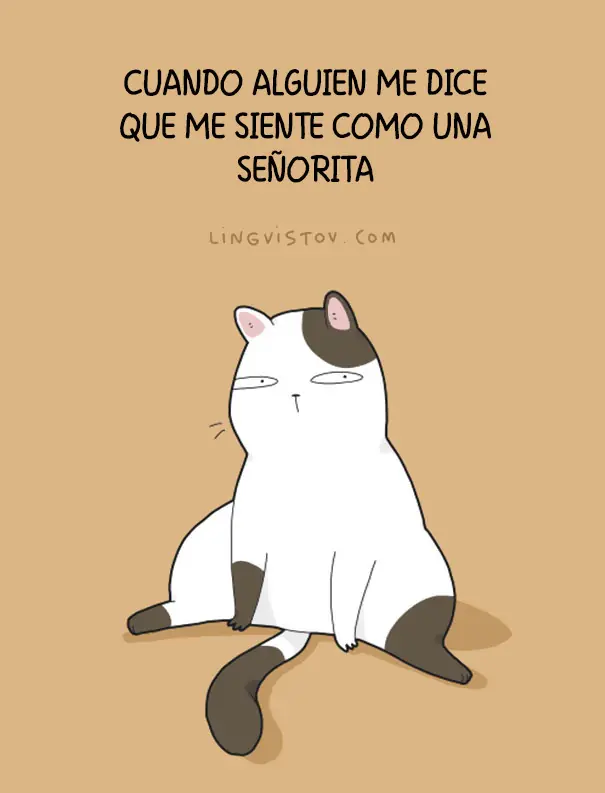 divertido humor grafico de anima