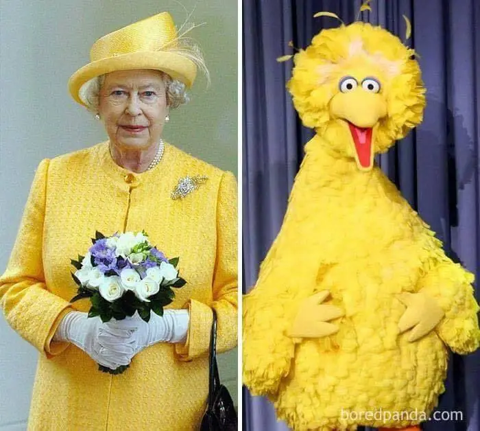 parecidos