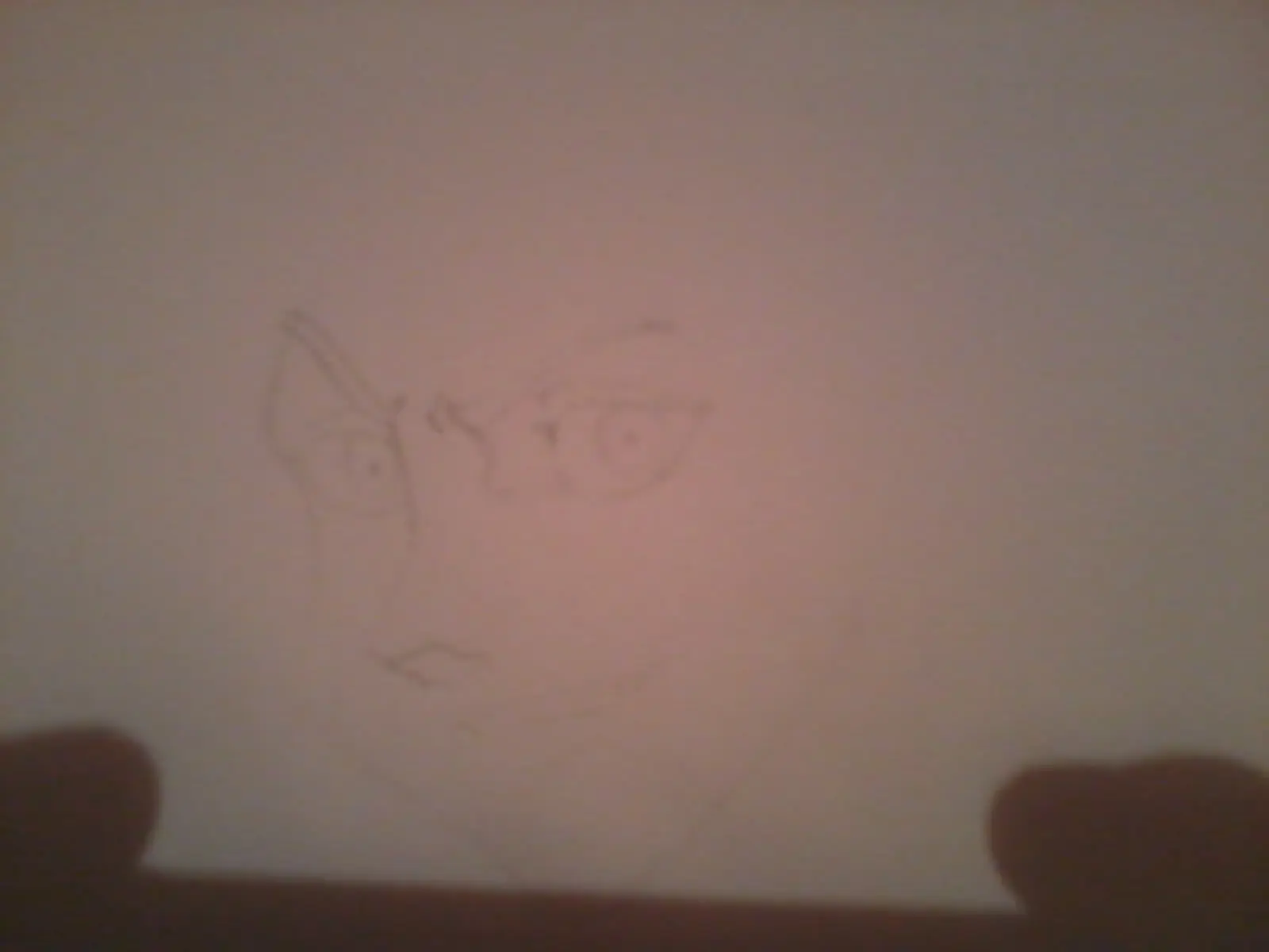 Boceto