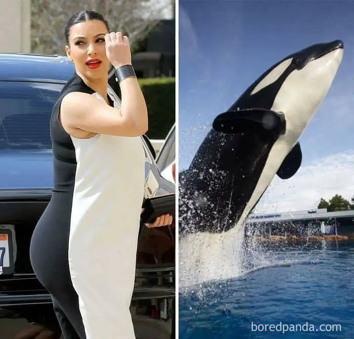 iguales