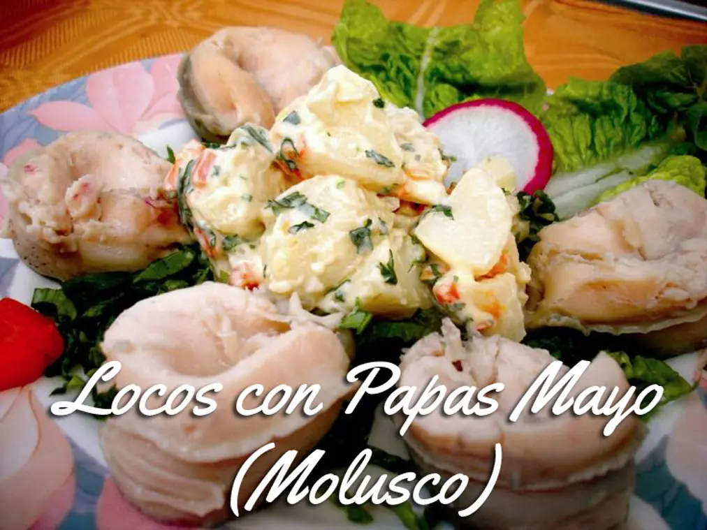 COMIDA CHILENA