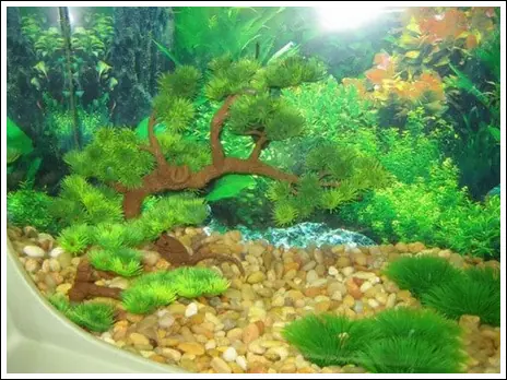 reciclado