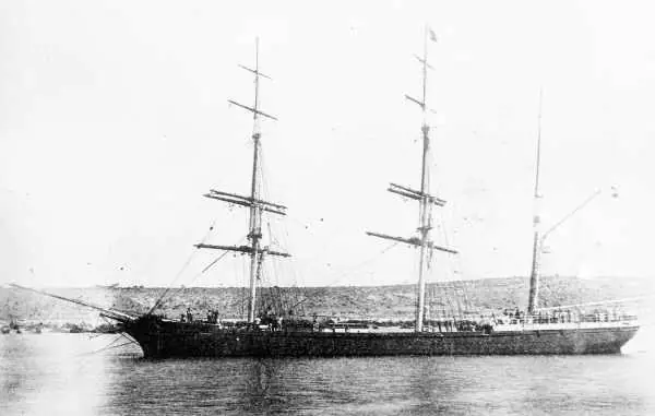 barcos