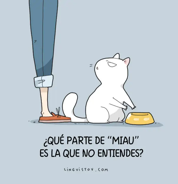 humor