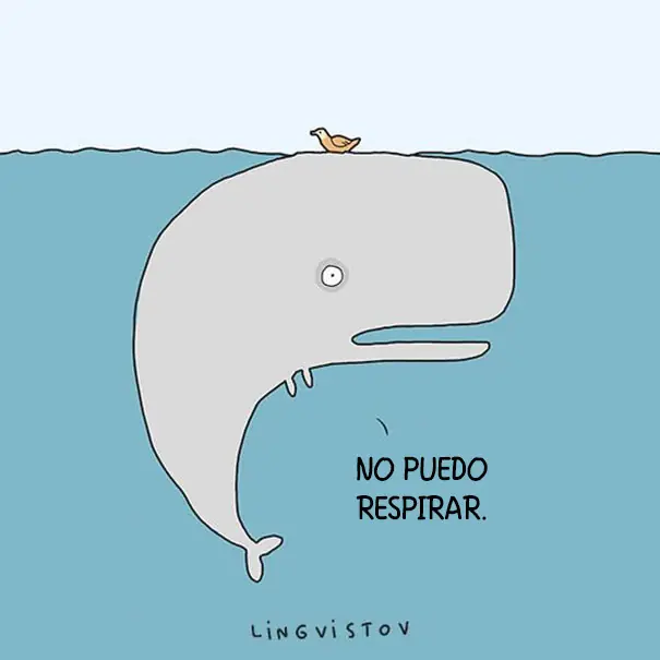 humor grafico de animales