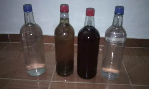 Estás en Venezuela, ya tomaste cocuy? pasa te dejo unos tips