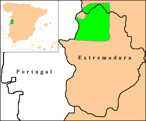 Cuantos idiomas oficiales se hablan en España