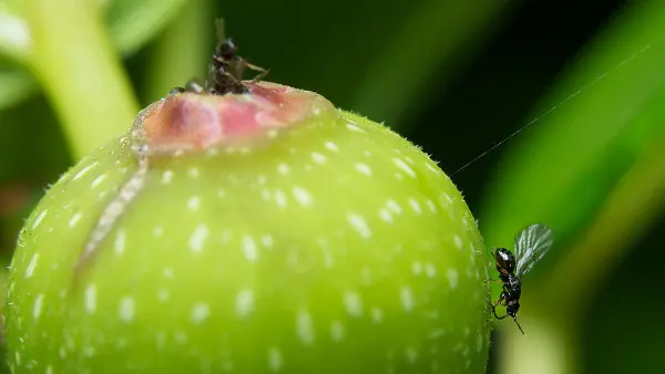 11 Curiosidades científicamente comprobadas