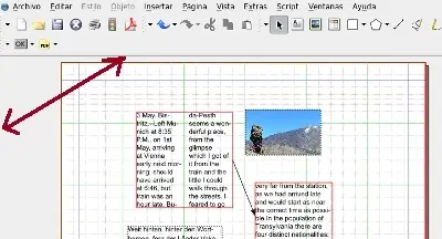 revista