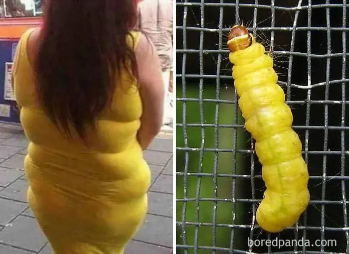 coincidencias