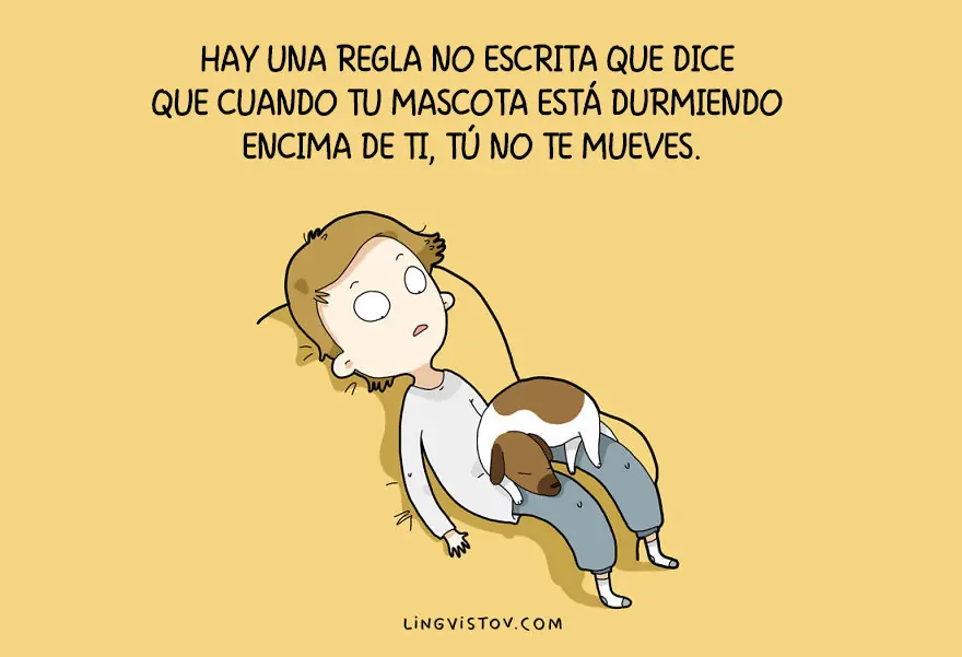 imagenes de humor