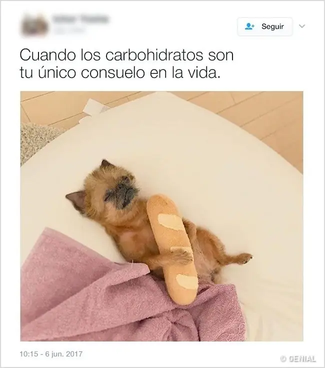 18 Tuits femeninos tan acertados que sorprenden