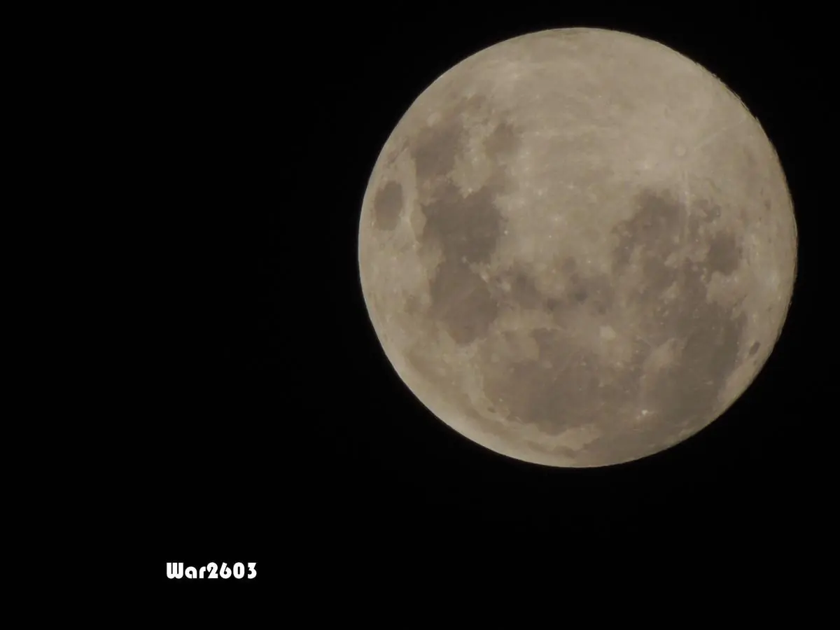 Te gusta la fotografía? Pasá y algo vas a aprender.