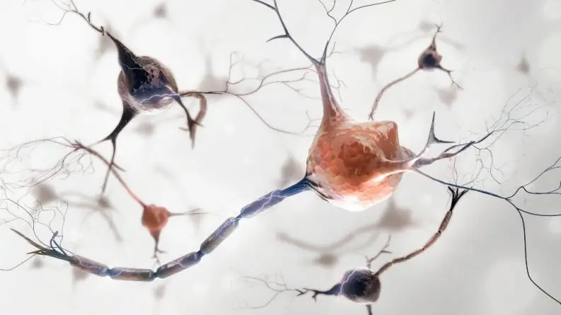 Según la ciencia el cerebro humano trabaja en 11 dimensiones