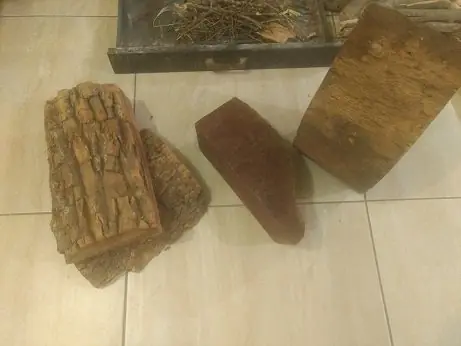 fuego
