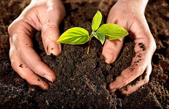 Acción Nacional para fomentar la agroecología
