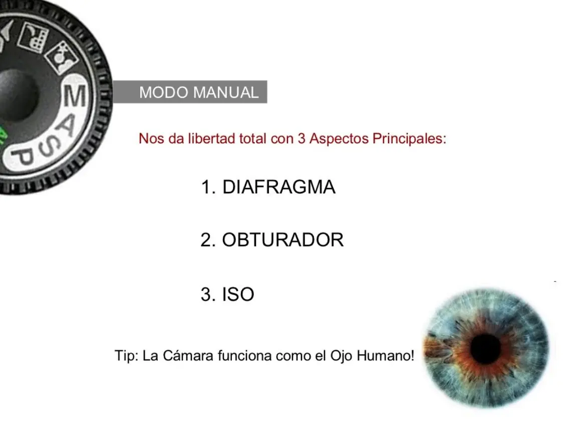REGLAS