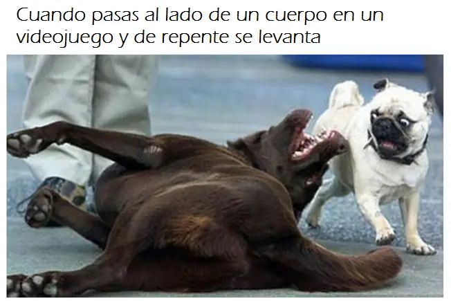 imagenes