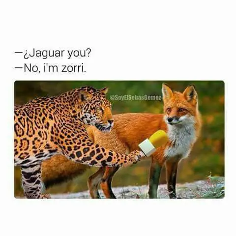 Imágenes para pasar el rato 3