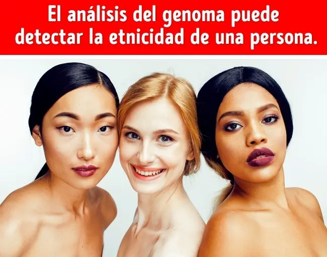 genetica