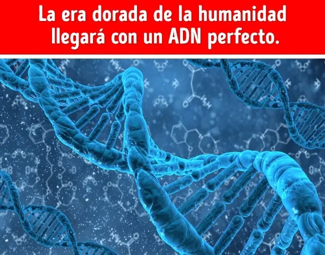 leyendo