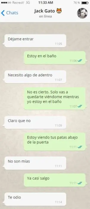 gato