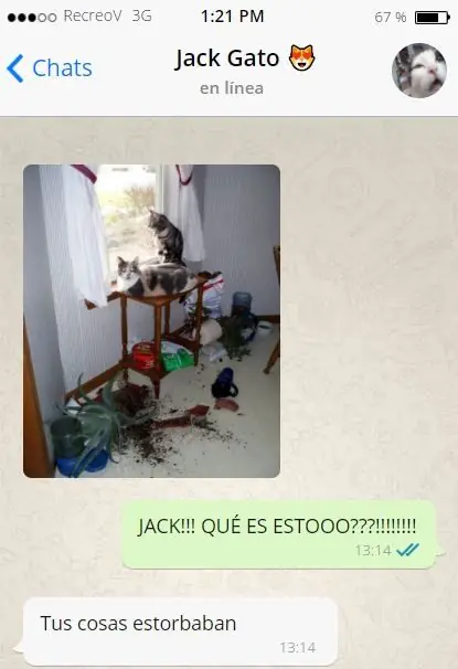 Divertidos