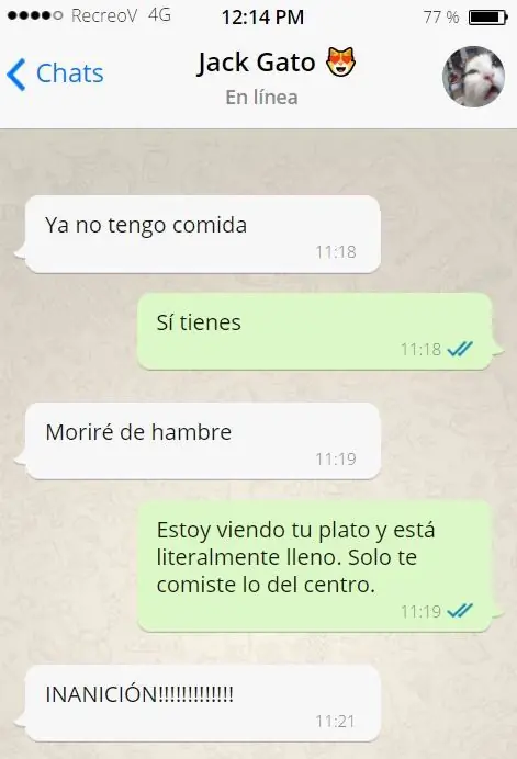 13 Divertidos whatsapps que tu gato te enviaría si pudiera