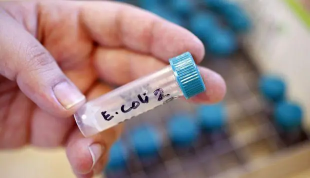 Científicos producen antibiótico para bacterias resistentes