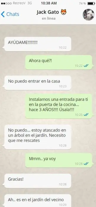 enviaria