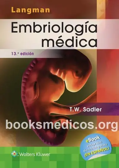 Embriología Médica Langman 13ª Edición