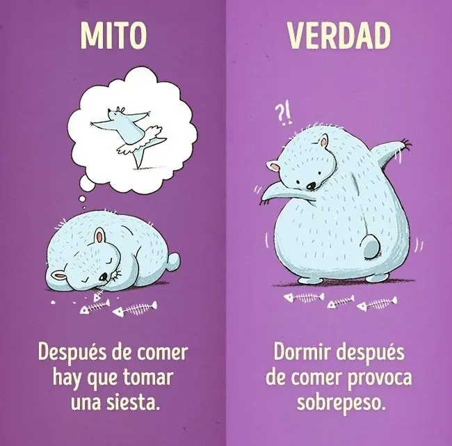 Hábitos que practicamos y podrían ser nocivos para la salud
