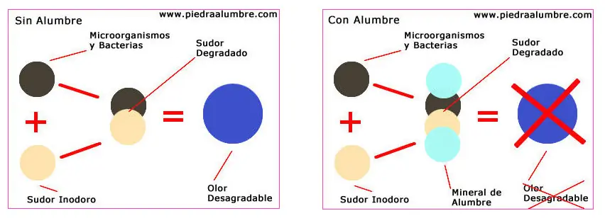 Piedra de alumbre, el desodorante natural